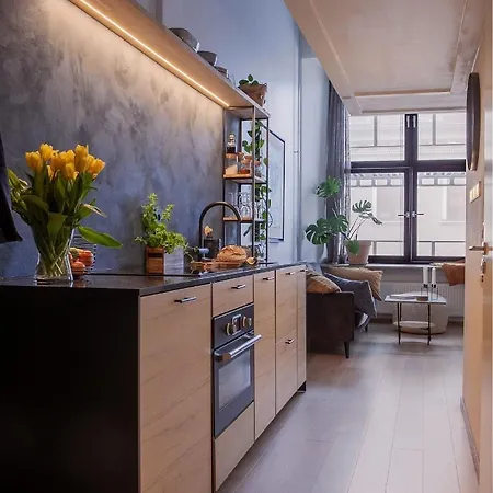 Apartment Modern Stylish Prinsens Oslo